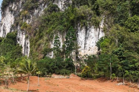 Terreno en Krabi, Tailandia № 124789 - foto 2