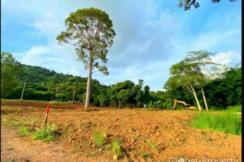 Terreno en Pattaya, Tailandia № 100839 - foto 6