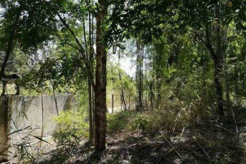 Land in Mae Taeng, Thailand № 116152 - photo 4