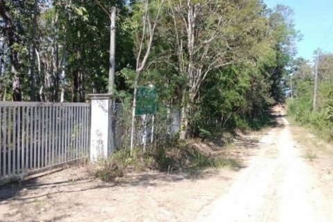 Land in Mae Taeng, Thailand № 116152