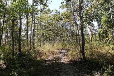 Land in Mae Taeng, Thailand № 116152 - photo 5