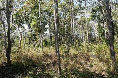 Land in Mae Taeng, Thailand № 116152 - photo 6