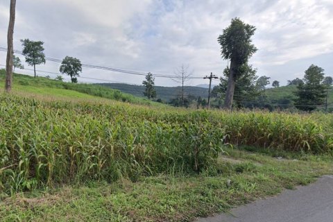 Terreno en Chiang Rai, Tailandia № 116154 - foto 6