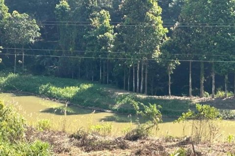 Terreno en Chiang Rai, Tailandia № 116154 - foto 2