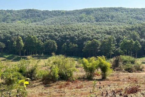 Terreno en Chiang Rai, Tailandia № 116154 - foto 3