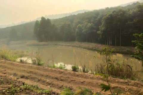 Terreno en Chiang Rai, Tailandia № 116154 - foto 5