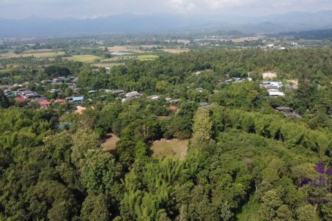 Grundstück in San Pa Tong, Thailand № 100508 - Foto 14