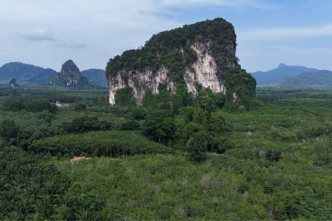 Terreno en Krabi, Tailandia № 125784