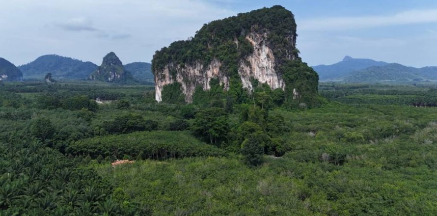 Grundstück in Krabi, Thailand № 125784