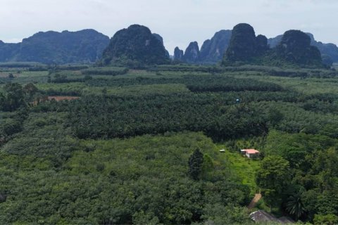 Grundstück in Krabi, Thailand № 125784 - Foto 5