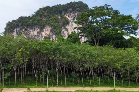 Grundstück in Krabi, Thailand № 125784 - Foto 6