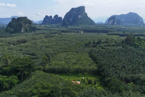 Grundstück in Krabi, Thailand № 125784 - Foto 3