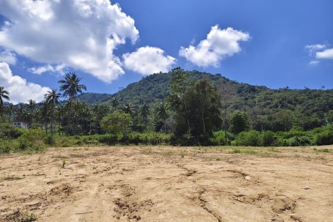 Land in Ko Samui, Thailand № 121194
