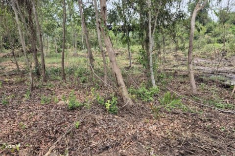 Terreno en Pattaya, Tailandia № 132855 - foto 5