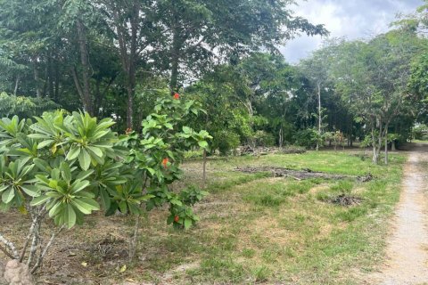 Terreno en Hua Hin, Tailandia № 132585 - foto 4