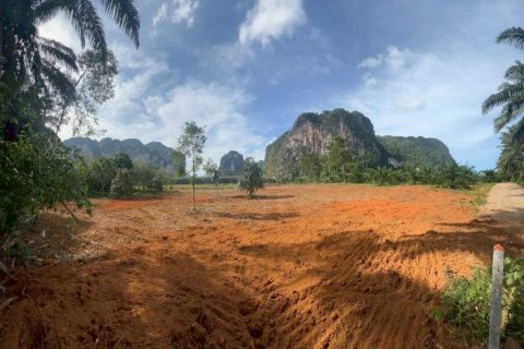 Land in Krabi, Thailand № 132742 - photo 5