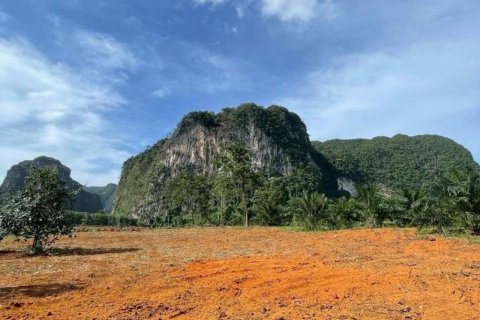 Land in Krabi, Thailand № 132742 - photo 4