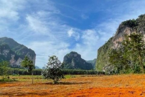 ที่ดินในกระบี่, ประเทศไทย № 132742