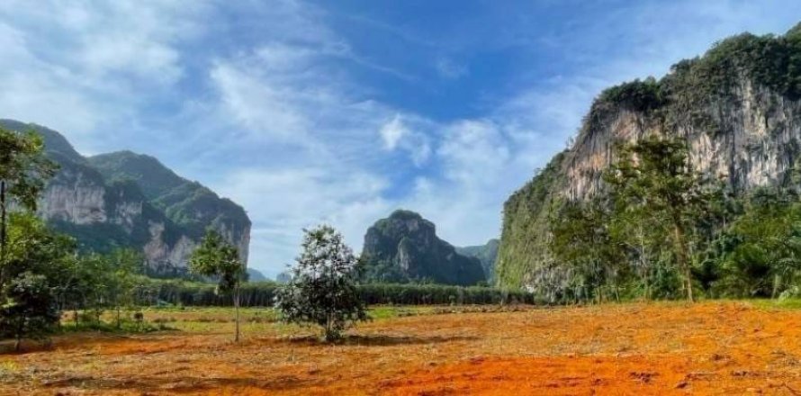 Land in Krabi, Thailand № 132742