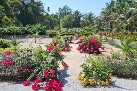 Terreno en Krabi, Tailandia № 124804 - foto 7