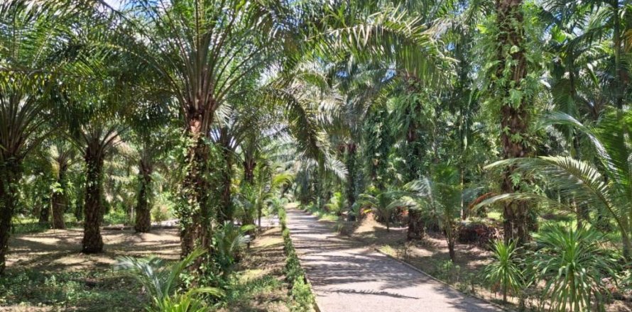 Terreno en Krabi, Tailandia № 124804