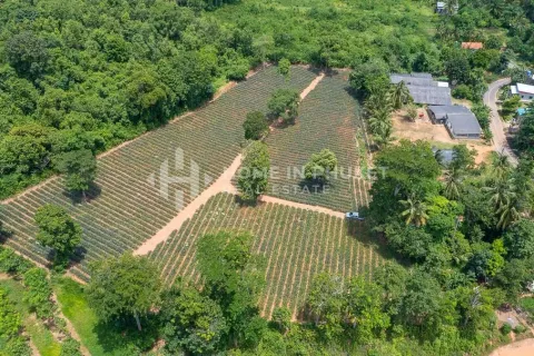 Terreno en Mai Khao, Tailandia № 131017 - foto 5