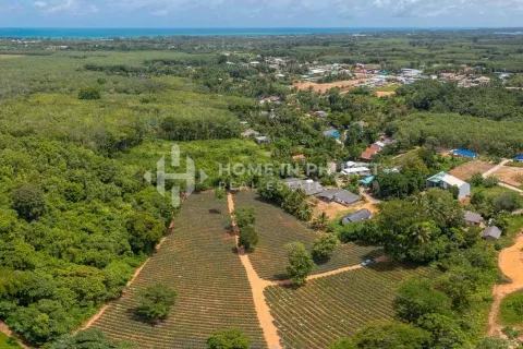 Terreno en Mai Khao, Tailandia № 131017 - foto 7