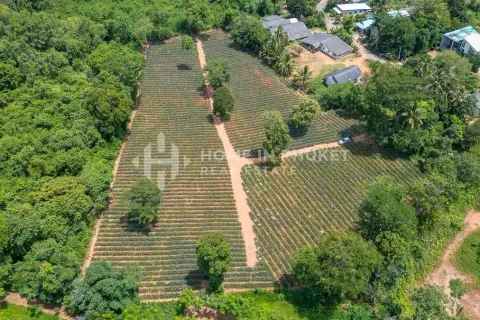 Terreno en Mai Khao, Tailandia № 131017 - foto 6