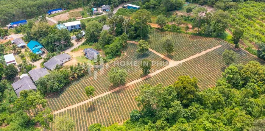 Terreno en Mai Khao, Tailandia № 131017