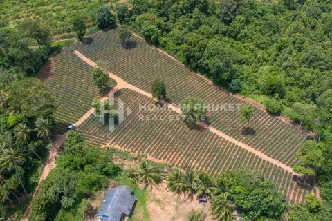 Terreno en Mai Khao, Tailandia № 131017 - foto 3