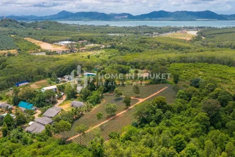 Terreno en Mai Khao, Tailandia № 131017 - foto 8