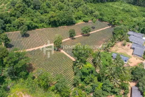 Terreno en Mai Khao, Tailandia № 131017 - foto 4