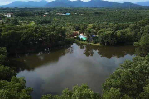 Land in Phang Nga, Thailand № 82045 - photo 4
