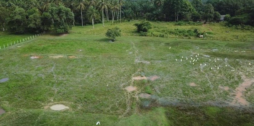 Land in Phang Nga, Thailand № 82045