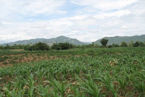Terreno en Chiang Khong, Tailandia № 132534 - foto 6