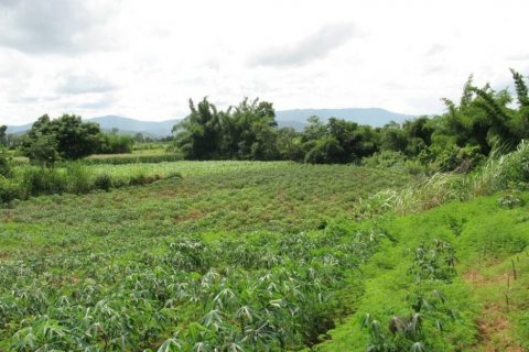 Terreno en Chiang Khong, Tailandia № 132534 - foto 8