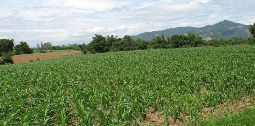 Terreno en Chiang Khong, Tailandia № 132534