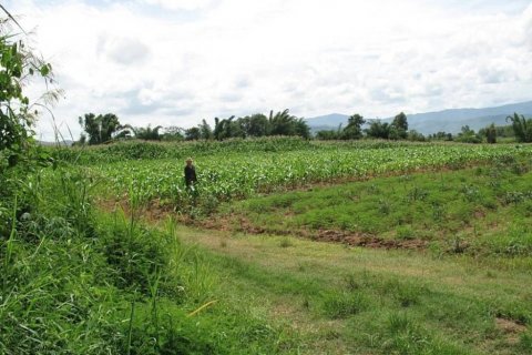 Terreno en Chiang Khong, Tailandia № 132534 - foto 7