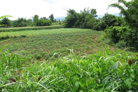 Terreno en Chiang Khong, Tailandia № 132534 - foto 3