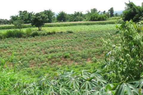 Terreno en Chiang Khong, Tailandia № 132534 - foto 2