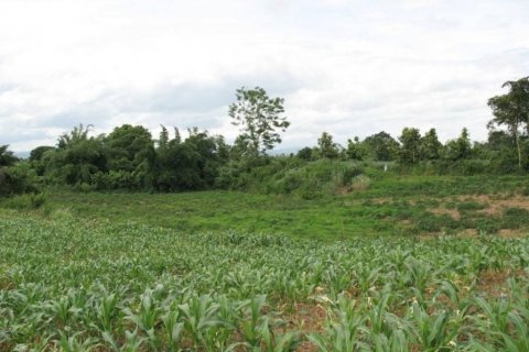 Terreno en Chiang Khong, Tailandia № 132534 - foto 5