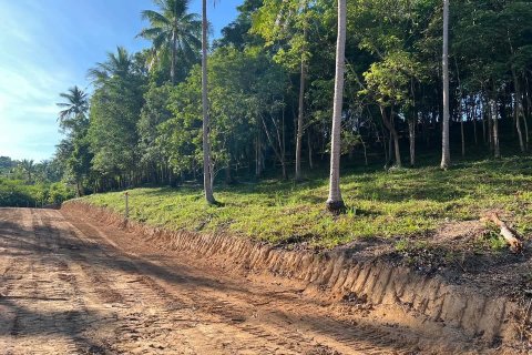 Land in Ko Samui, Thailand № 126031