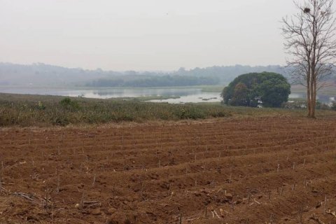 Terreno en Chiang Saen, Tailandia № 126636 - foto 4