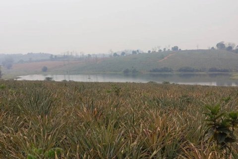 Terreno en Chiang Saen, Tailandia № 126636 - foto 5