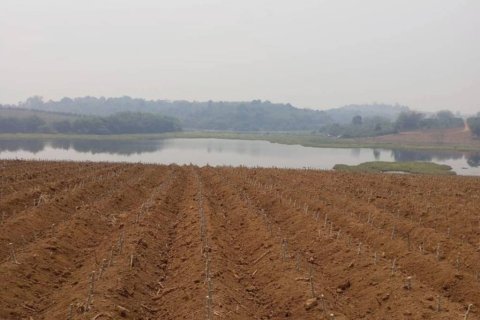 Terreno en Chiang Saen, Tailandia № 126636 - foto 7