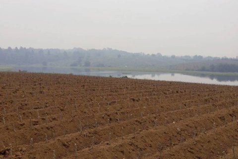 Terreno en Chiang Saen, Tailandia № 126636 - foto 3