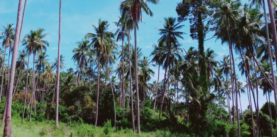 Terreno en Ko Samui, Tailandia № 119455