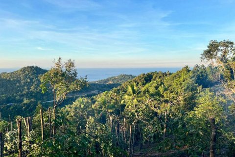 Land in Surat Thani, Thailand № 126039