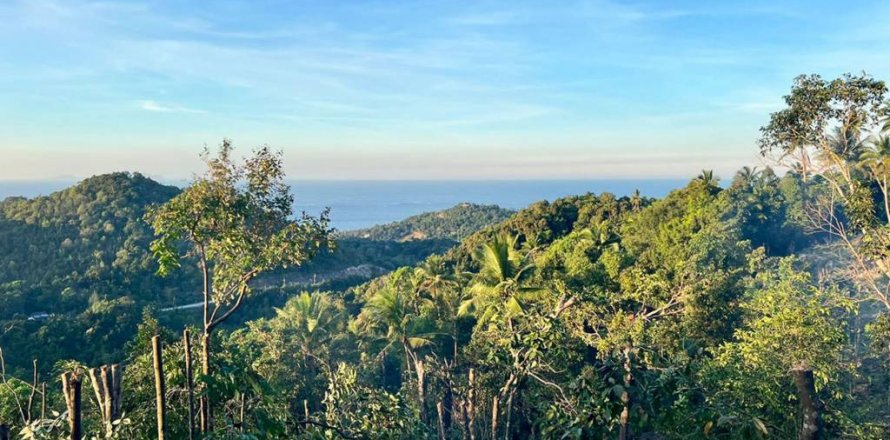 Land in Surat Thani, Thailand № 126039