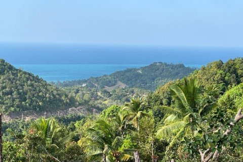 Land in Surat Thani, Thailand № 126039 - photo 3